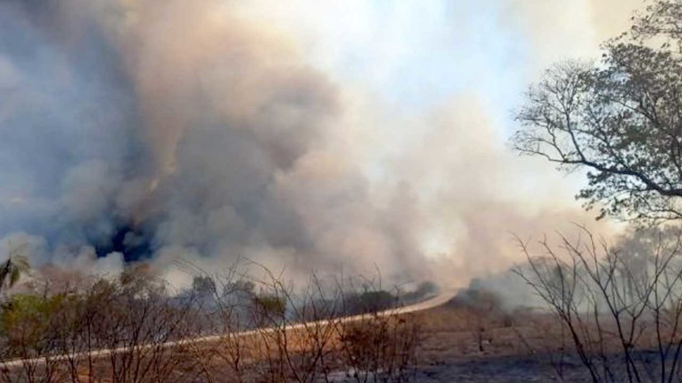 Incendios Roboré. (Foto: Opinión).